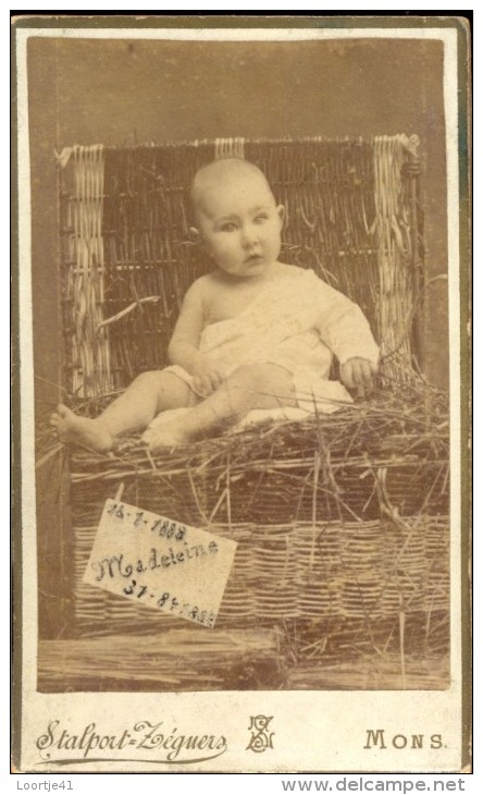 Foto Hard Karton Photo Sur Carton - Meisje Fille Madeleine 1888 - Photographe Stalport - Zéguers - Mons - Sonstige & Ohne Zuordnung