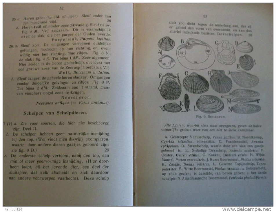 1913 HET STRANDBOEKJE La Nature Vivante PLAGE - Oude Boeken