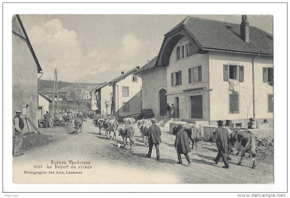 LV1697 - Scènes Vaudoises Départ Du Village Troupeau De Vaches Aux Charbonnières - Autres & Non Classés