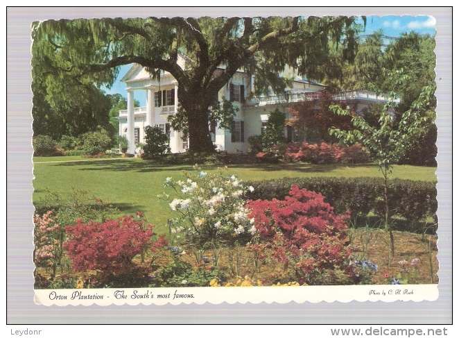 Orton Plantation And Gardens - Wilmington