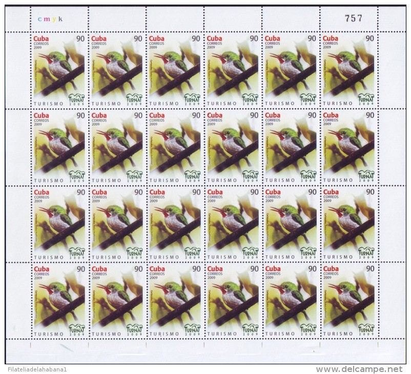 2009.525 CUBA MNH SHEET COMPLETE 2009 MNH BIRD TURNAT - Hojas Y Bloques