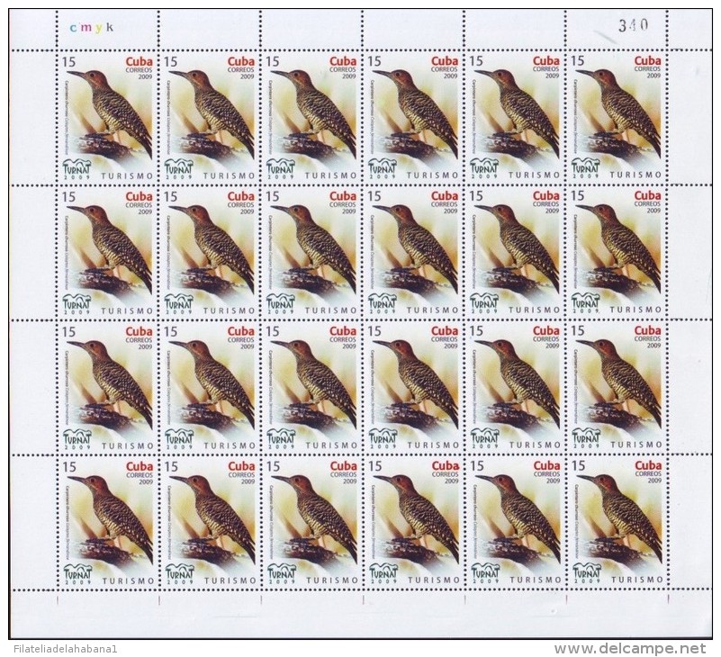 2009.525 CUBA MNH SHEET COMPLETE 2009 MNH BIRD TURNAT - Hojas Y Bloques