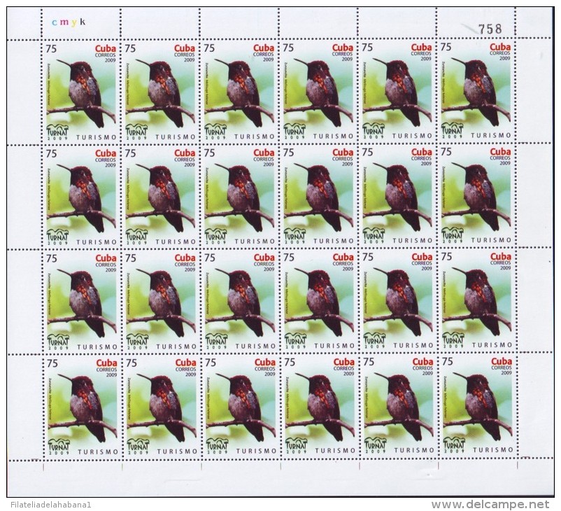 2009.525 CUBA MNH SHEET COMPLETE 2009 MNH BIRD TURNAT - Hojas Y Bloques