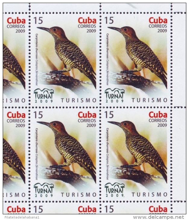 2009.525 CUBA MNH SHEET COMPLETE 2009 MNH BIRD TURNAT - Hojas Y Bloques