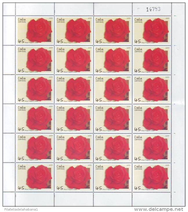 2007.523 CUBA MNH SHEET COMPLETE 2007 MNH FLOWER ROSE FLORES - Hojas Y Bloques