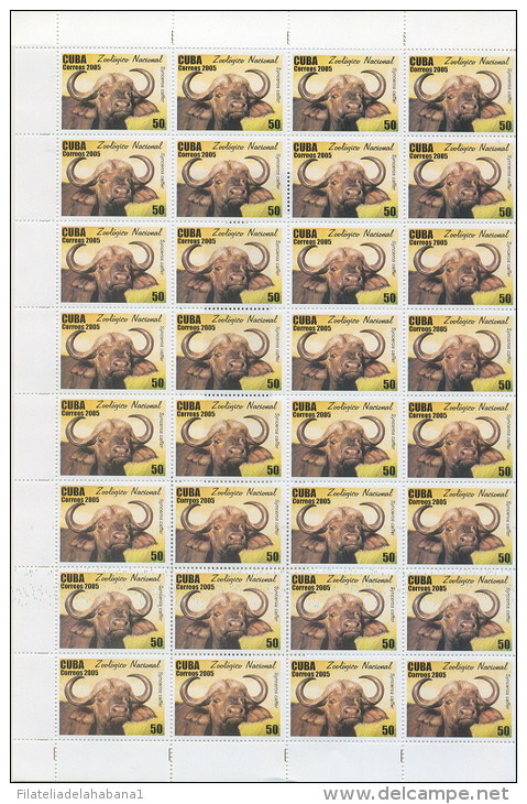 2005.524 CUBA COMPLETE MNH SHEET 2005 ZOO ELEPHANT LION - Hojas Y Bloques