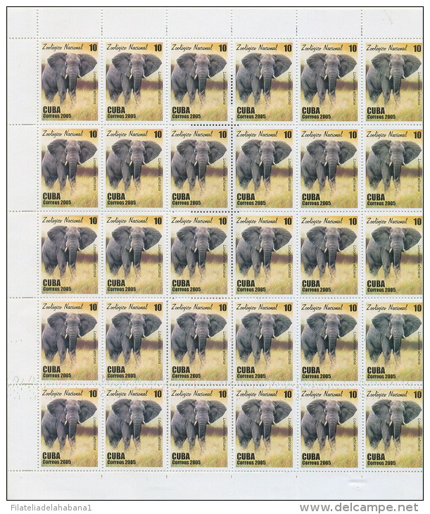 2005.524 CUBA COMPLETE MNH SHEET 2005 ZOO ELEPHANT LION - Hojas Y Bloques