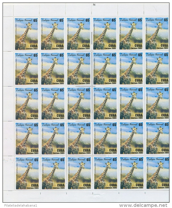 2005.524 CUBA COMPLETE MNH SHEET 2005 ZOO ELEPHANT LION - Hojas Y Bloques