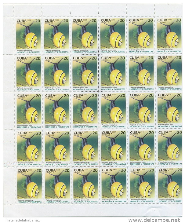 2005.521 CUBA COMPLETE MNH SHEET 2005 FUNGUS AND CARACOLES - Hojas Y Bloques