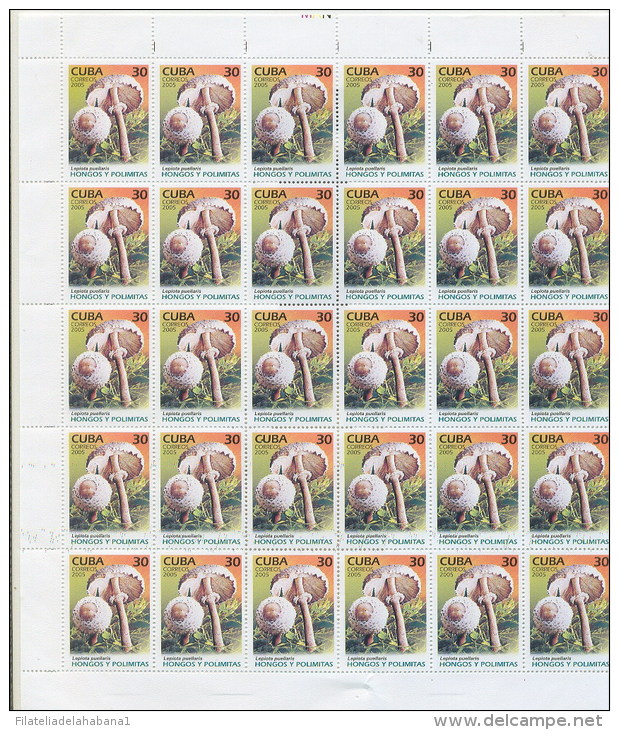 2005.521 CUBA COMPLETE MNH SHEET 2005 FUNGUS AND CARACOLES - Hojas Y Bloques