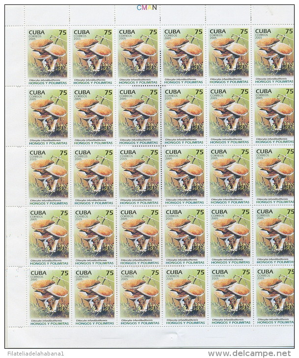 2005.521 CUBA COMPLETE MNH SHEET 2005 FUNGUS AND CARACOLES - Hojas Y Bloques