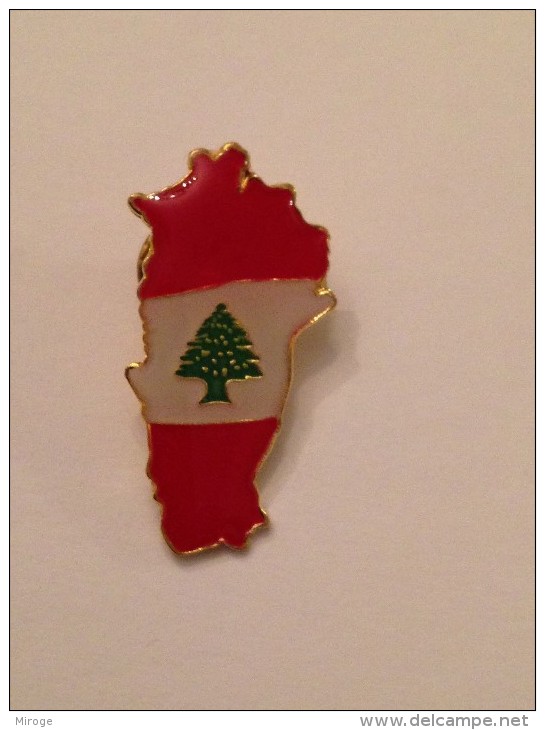 Lebanon Pin Map And Cedar, Badge Liban - Pin-ups