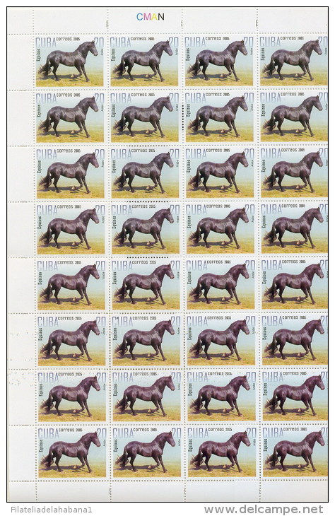 2005.507 CUBA MNH SHEET COMPLETE 2005 HORSE - Hojas Y Bloques