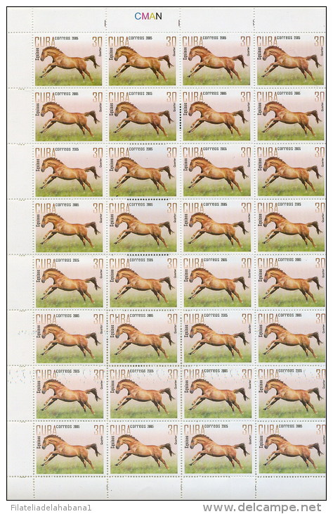 2005.507 CUBA MNH SHEET COMPLETE 2005 HORSE - Hojas Y Bloques