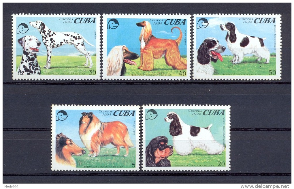 Cuba 1994 - Dogs From Cuba - Unused Stamps