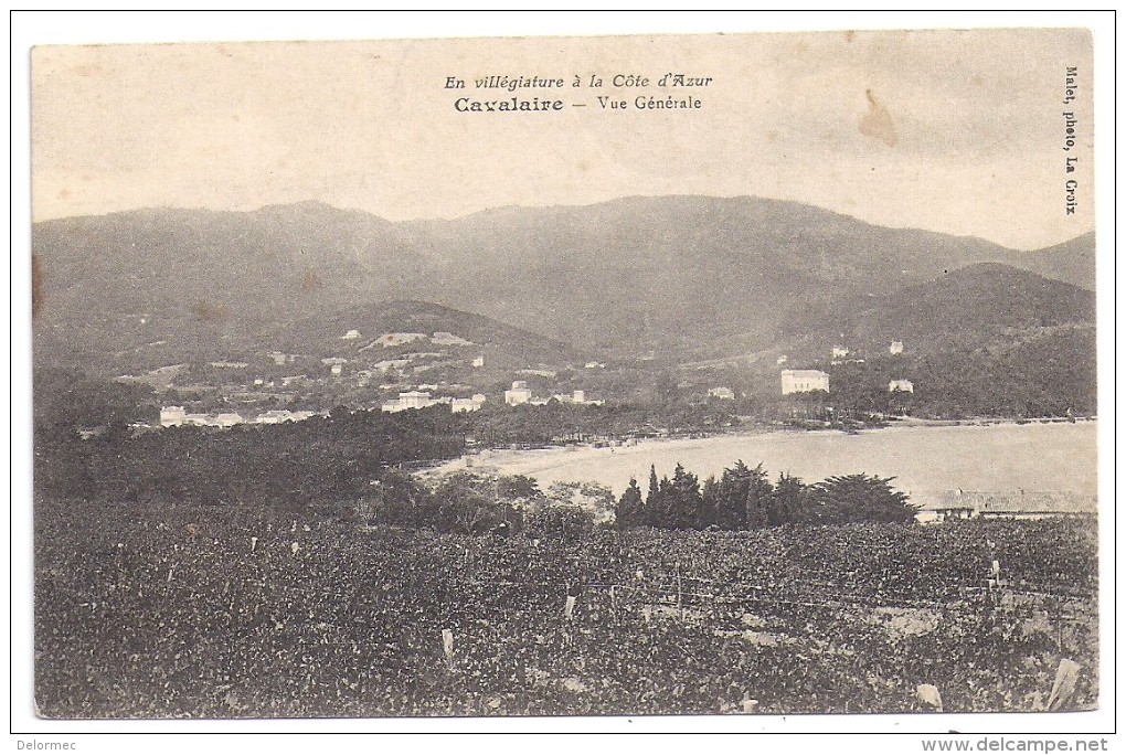 CPA Cavalaire Sur Mer 83 Var Vue Générale Vignes Au 1er Plan édit  Malet à La Croix écrite - Cavalaire-sur-Mer