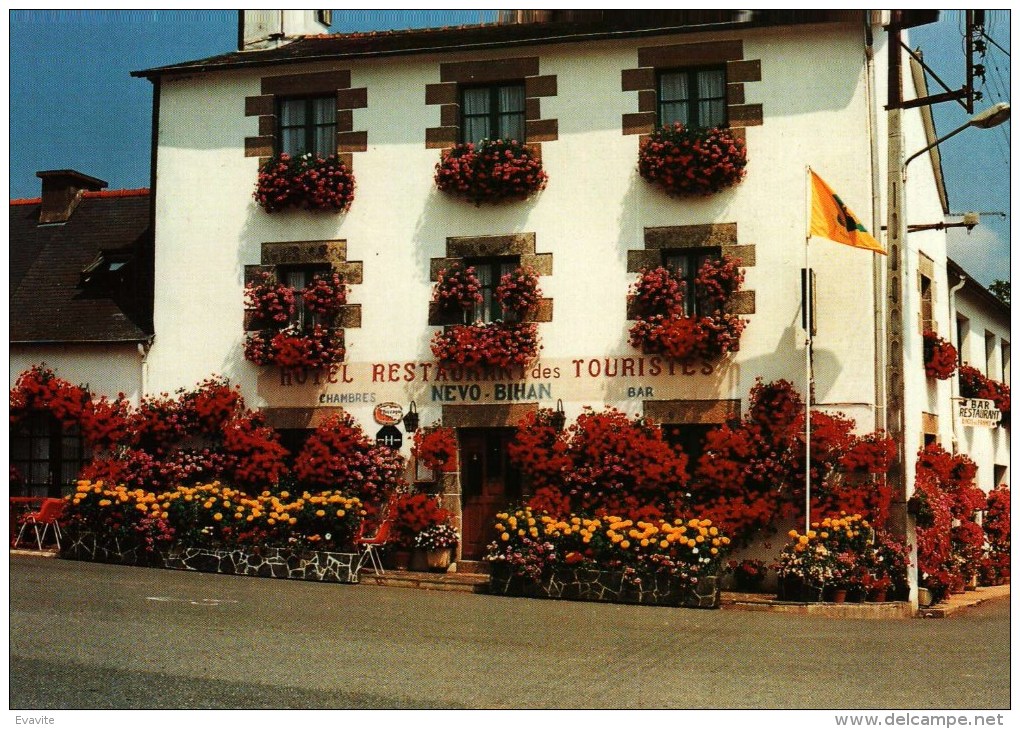 CPM  (22)      SAINT-GILLES-VIEUX-MARCHE  -   Hôtel Des Touristes - Saint-Gilles-Vieux-Marché