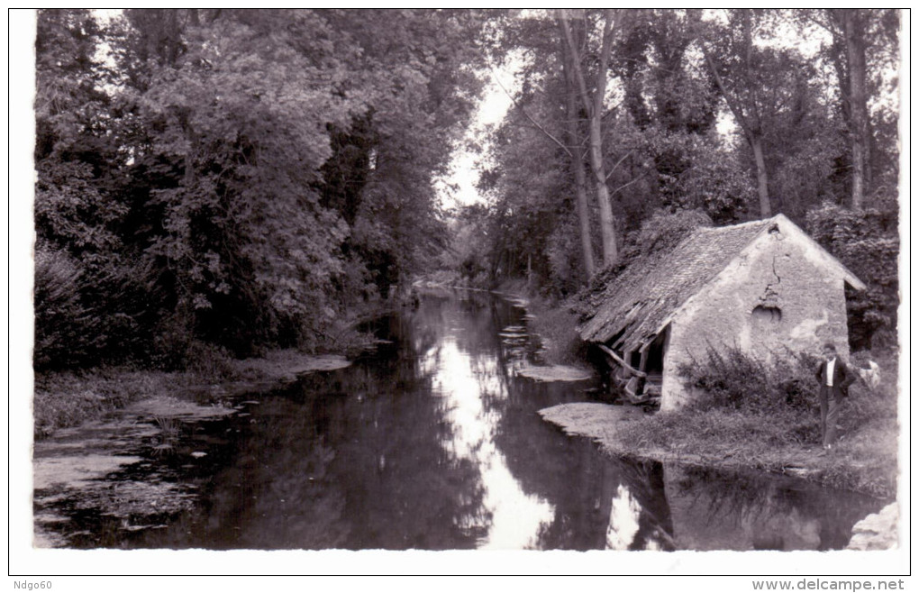 Méréville - Les Bords De La Juine - Mereville