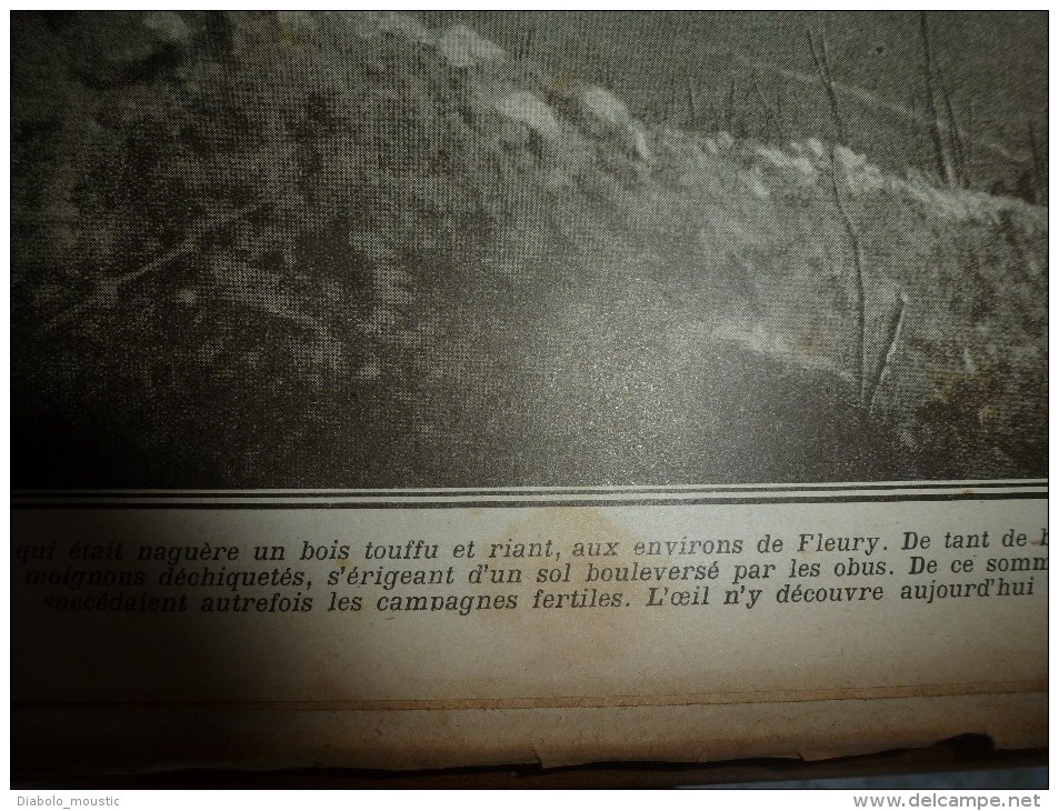 1916 LPDF: Belgique;FLEURY;Chemin De Fer Sur Le Front;Guynemer;ROYAL IRISH REGIMENT; Chat-a-neuf-queues; Russes à BREST - Français