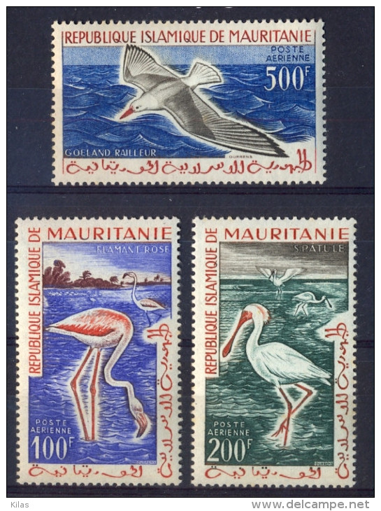 MAURITANIA 1961  Airmail , Birds MNH - Marine Web-footed Birds