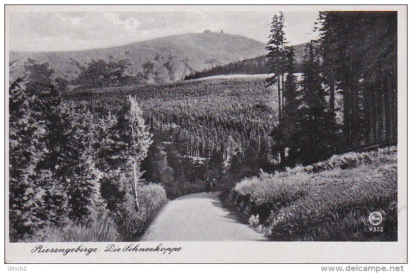 AK Riesengebirge - Graf Friedrich-Schaffgotsch-Weg Mit  Schneekoppe (8326) - Sudeten