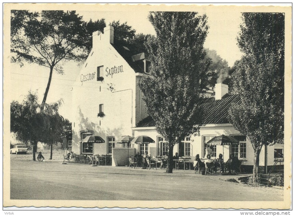 Oostkerke - Damme :  Gasthof  '  SIPHON )    NELS  (  Groot Formaat ) - Damme