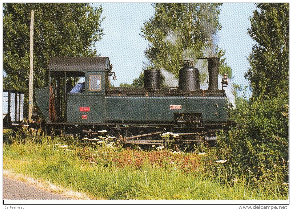 CF 290  Train Locomotive Gare :  Passage à Bonnétable Locomotive Vapeur Baptisée La Chéronne - Autres & Non Classés