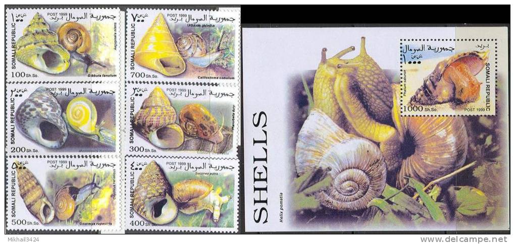 0271 Fauna Animals Snails 1999 Somalia 6+S/s Set MNH ** - Other & Unclassified