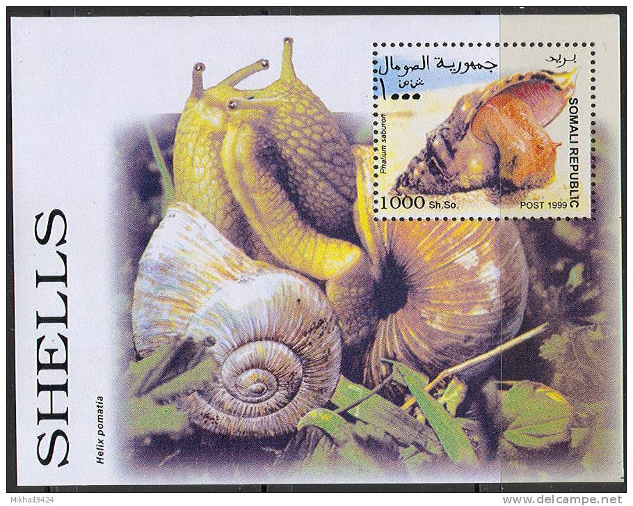 0271 Fauna Animals Snails 1999 Somalia 6+S/s Set MNH ** - Other & Unclassified