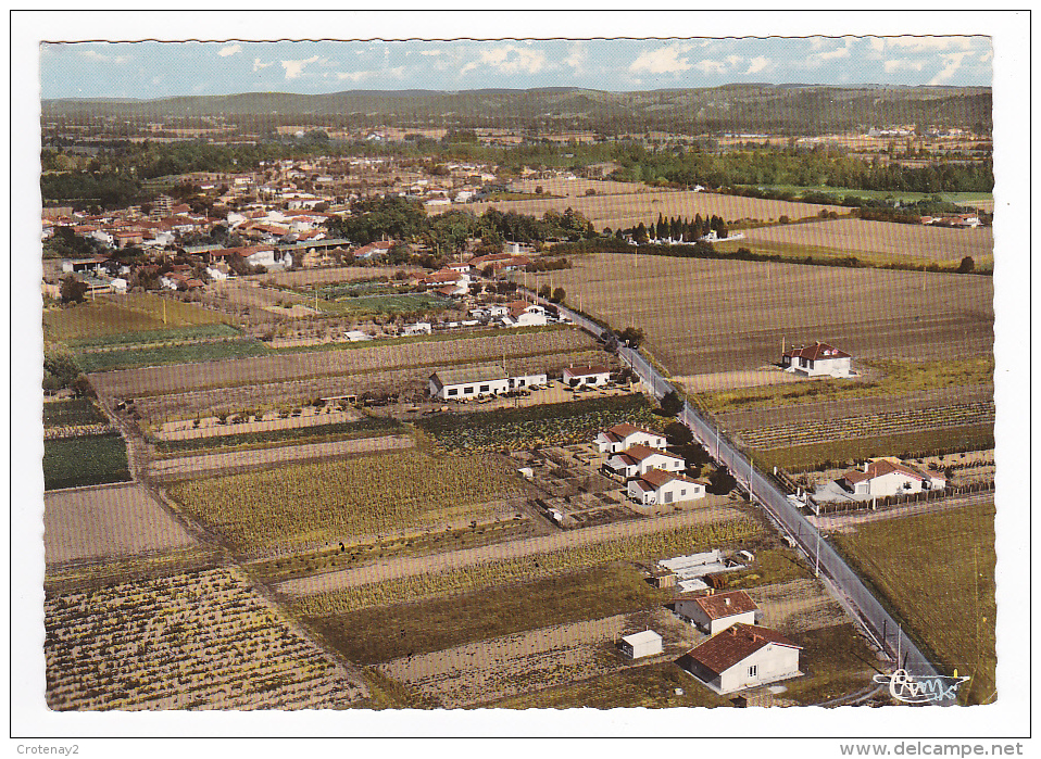 31 Lavernose Lacasse Vers Muret N°311 80 Très Belle Vue Générale Aérienne En 1972 - Muret