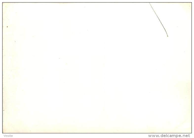 PU-14-035 : Baalbek  ( Carte Recoupée Cotés Verticaux Et Horizontaux )(8.5 Cm Pour 9 Cm ) (13.5 Cm Au Lieu De 14 Cm) - Syrie
