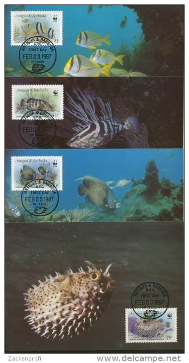 Antigua & Barbuda 1987 WWF Fische 1010/13 Maximumkarten (R2314) - Antigua Und Barbuda (1981-...)