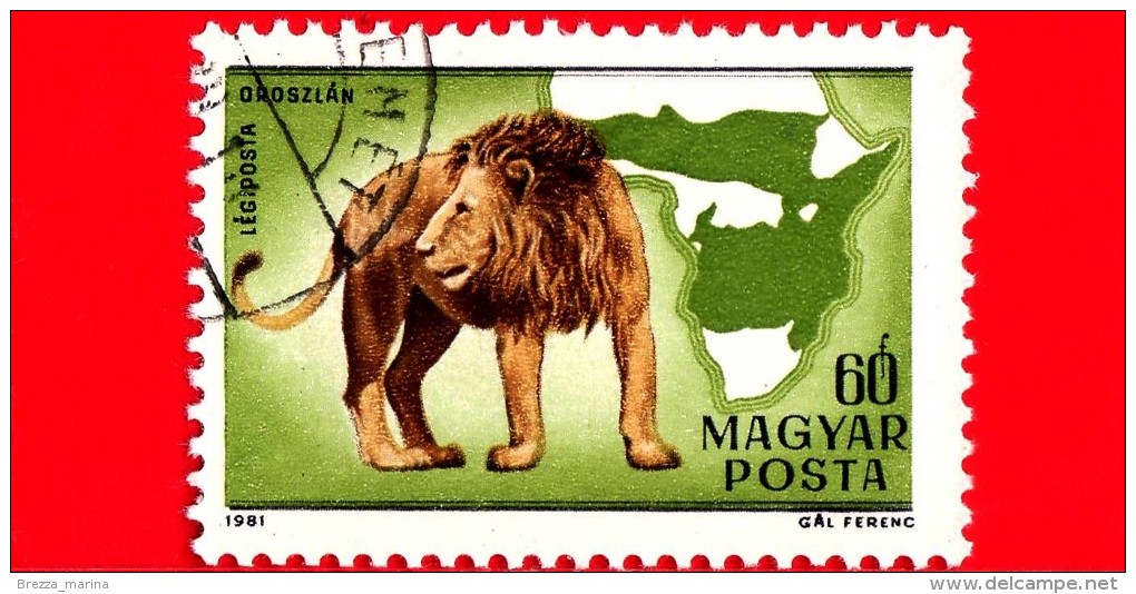 UNGHERIA - MAGYAR - 1981 - Fauna Dell'Africa - Leone - Lion - Posta Aerea - 60 - Unused Stamps