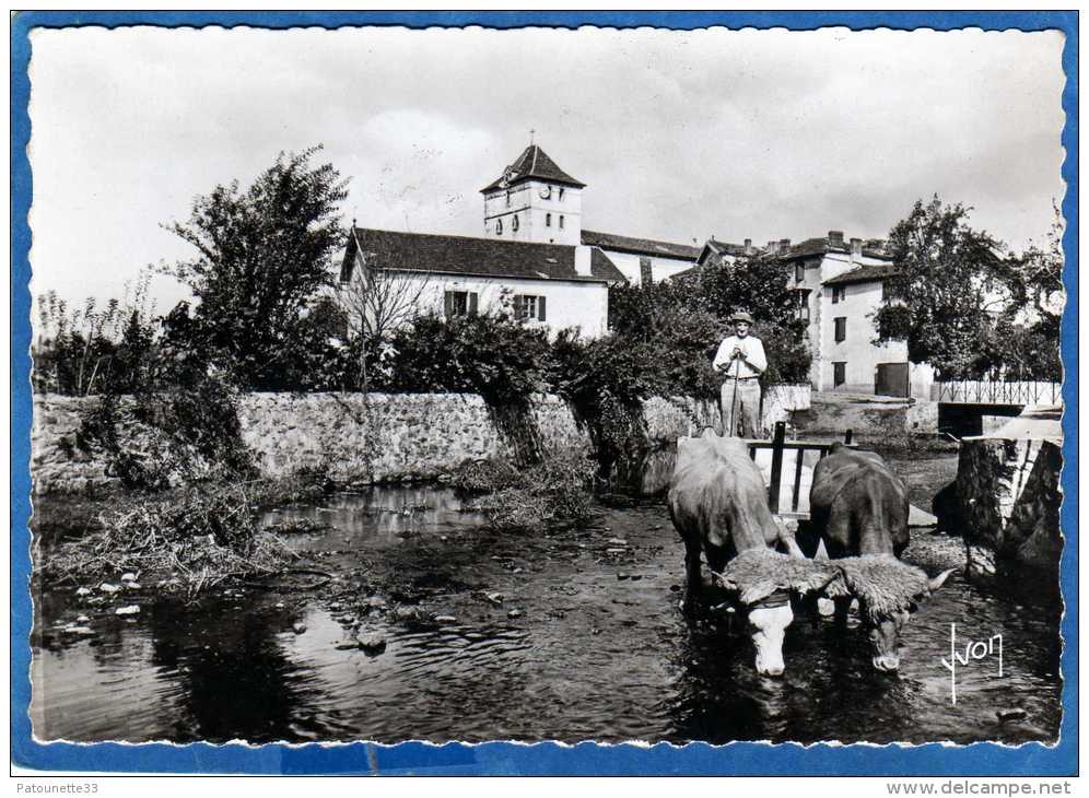 64 ESPELETTE ATTELAGE BASQUE CARTE PHOTO DENTELEE GRAND FORMAT - Espelette