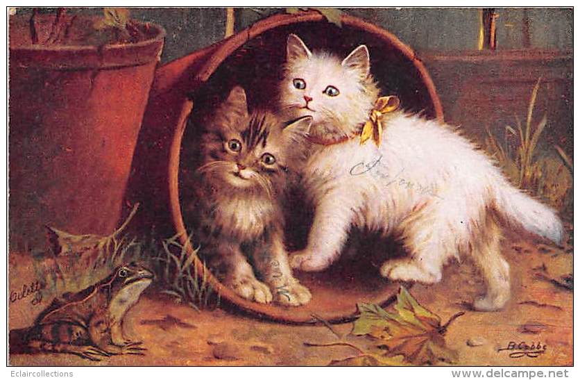 Fantaisie    Chats  Dessinés Ou Photographiés Ou Autres  (voir Scan)  Grenouilles - Katten