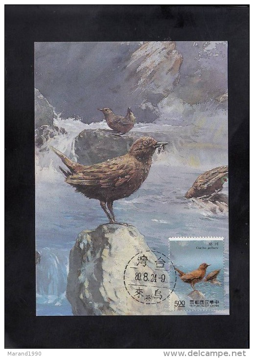 TAIWAN CARTE MAXIMUM, CINCLUS POLASII (100042) - Mouettes