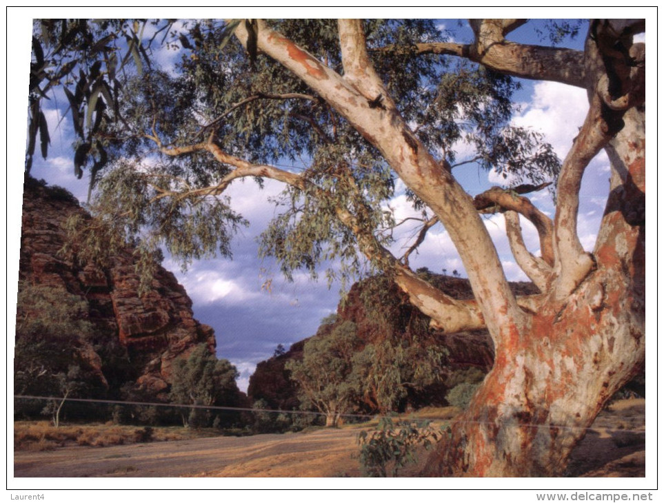 (89) Australia - NT - Emily Gap (with Living Together Stamp At Back Of Card) - The Red Centre