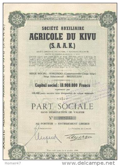 Soc. Aux. Agricole Du Kivu (S.A.A.K.) - Afrika