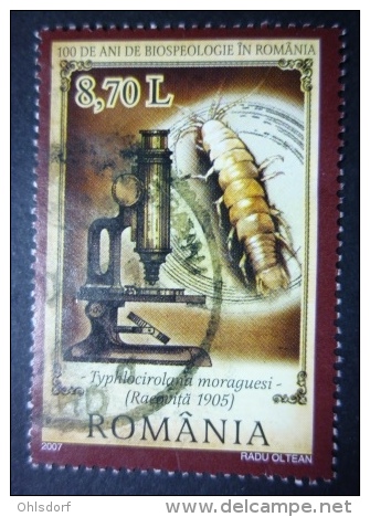 ROMANIA 2007: YT 5181, O - LIVRAISON GRATUITE A PARTIR DE 10 EUROS - Gebraucht