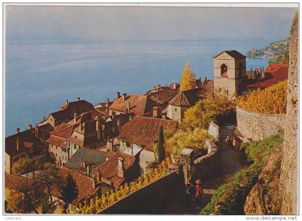 SUISSE,SCHWEIZ,HELVETIA,S WISS,SWITZERLAND,VAUX,LAVAUX ORON,SAINT SAPHORIN,LAC LEMAN,ENFANT DU PAYS - Oron