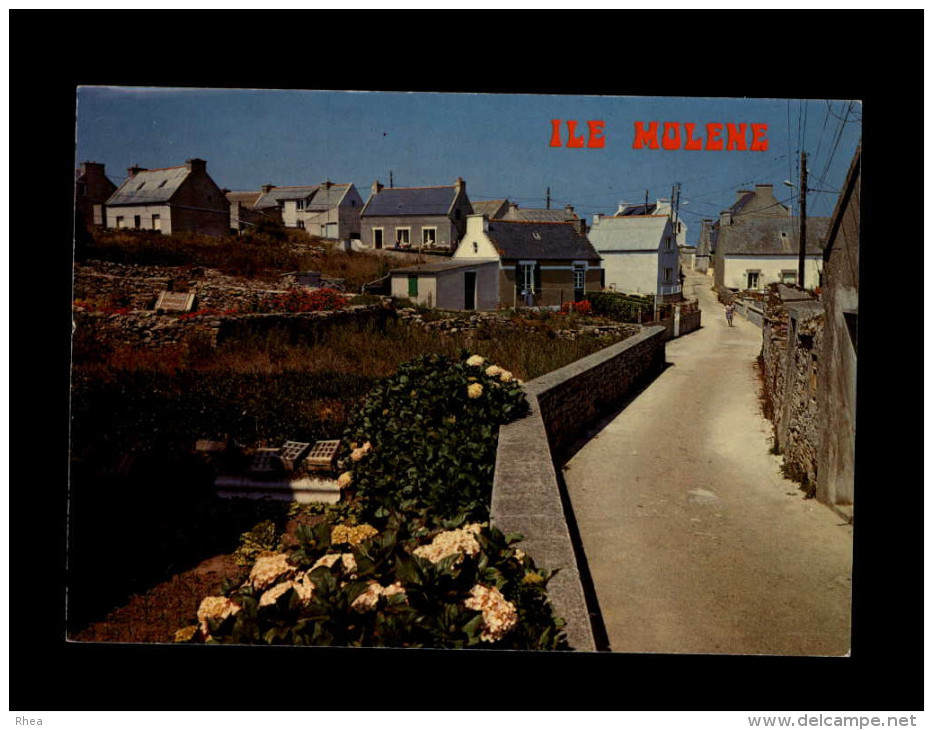 29 - ILE MOLENE - - Autres & Non Classés