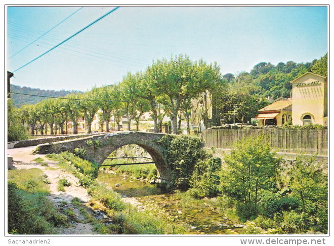 83. Gf. COLLOBRIERES. Le Pont Vieux - Collobrieres
