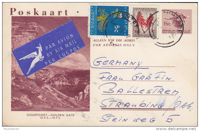 South Africa Uprated Postal Stationery Ganzsache Airmail Lugpos Label GUMTREE 1962 Gouepoort - Golden Gate Cachet 2 Scan - Lettres & Documents