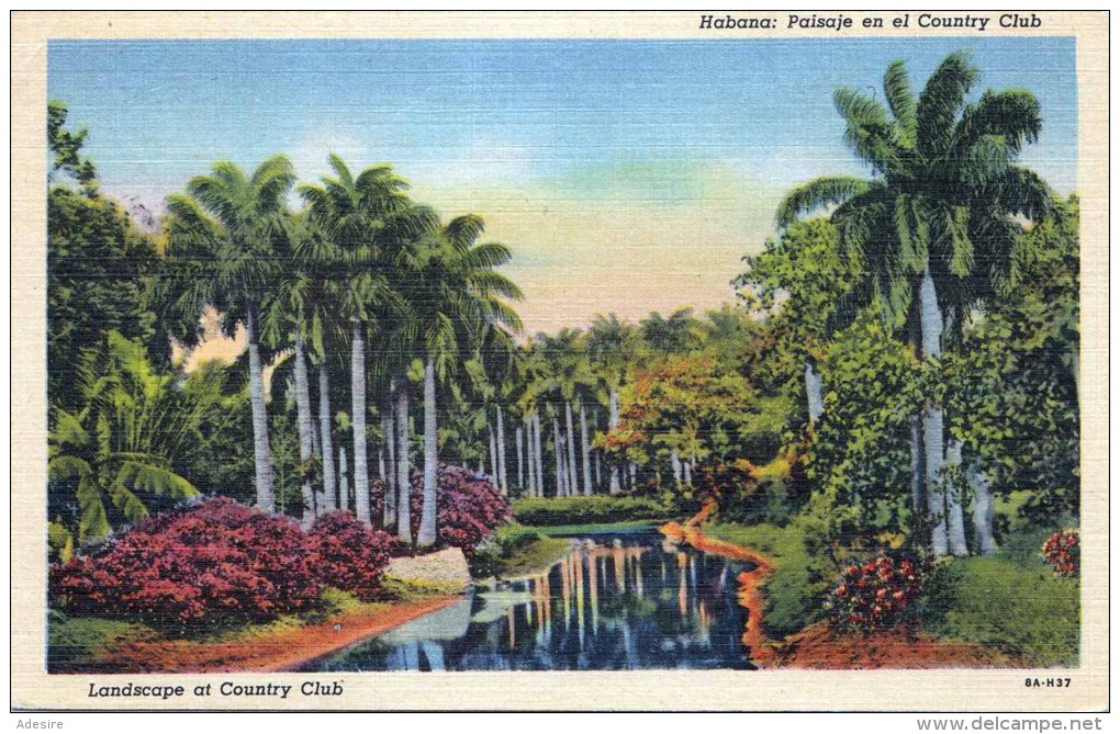 HABANA (Cuba) 1930? - Landscape At Country Club - Kuba