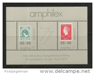 NEDERLAND, 1977, Mint  Never Hinged Stamp(s) Block Nr.16, Amphilex, NVPH Nr. 1141,  #6847 - Bloques