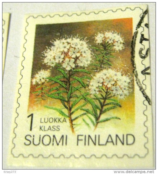 Finland 1993 Flower Ledum Palustre 1k - Used - Used Stamps