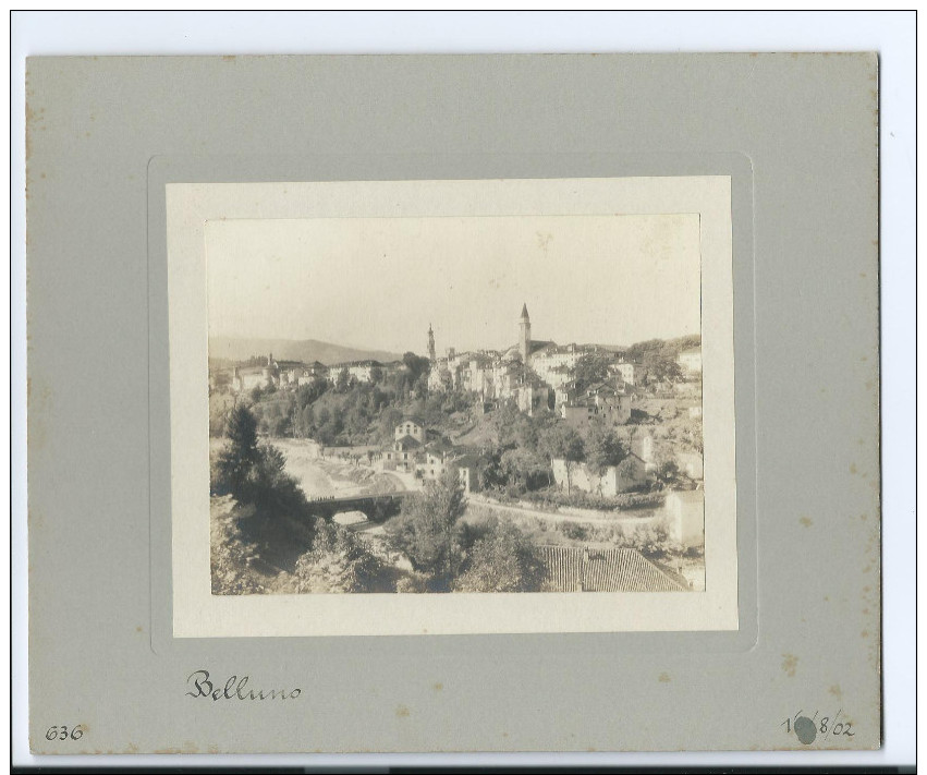 BELLUNO ITALIE PHOTO ORIGINALE 1902 ( PORT R2 OFFERT / FREE SHIPPING REGISTERED ) - Altri & Non Classificati