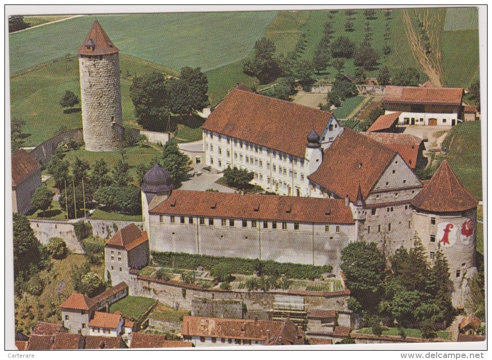 SUISSE,HELVETIA,SWISS,SWITZERLAND,SVIZZERA,SCHWEIZ ,JURA,PORRENTRUY,IL Y A 50 ANS,AJOIE,chateau - Porrentruy