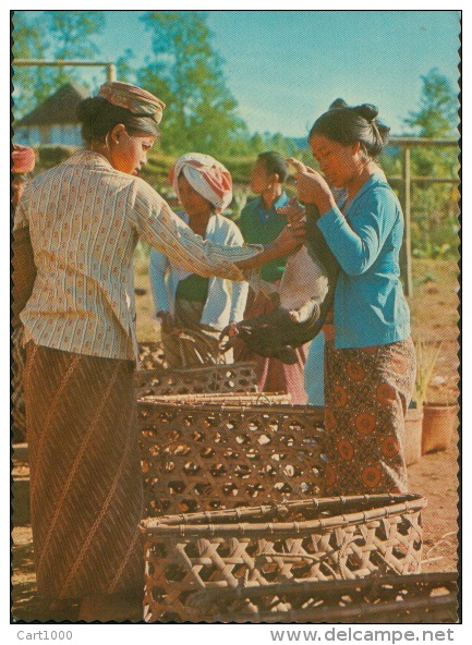 PIG MARKET  BALI INDONESIA - Indonesia