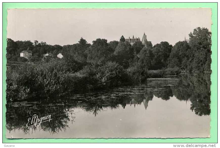 28 COURTALAIN - Les Bords De L'yerre - Courtalain